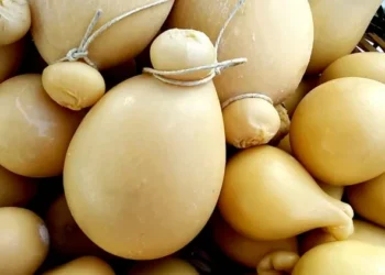 Sagra del Riavulillo 2025: gusto piccante ad Arola