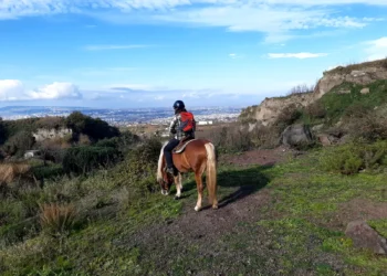 A cavallo sul Vesuvio: tra crateri, natura e sapori campani