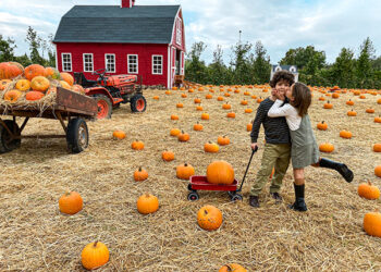 Il Giardino delle Zucche 2025 a Pignataro Maggiore: tra zucche e magia d’autunno