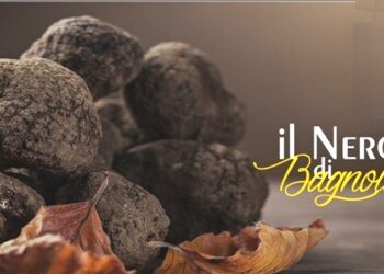 SAGRA DELLA CASTAGNA E DEL TARTUFO – BAGNOLI IRPINO (AV)
