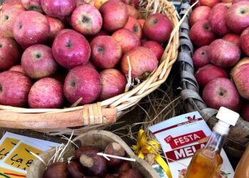 FESTA DELLA MELA – VALLE DI MADDALONI (CE)