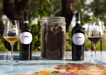 “In Vino Humanitas: un brindisi al Vesuvio tra gusto, natura e umanità”
