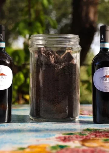 “In Vino Humanitas: un brindisi al Vesuvio tra gusto, natura e umanità”